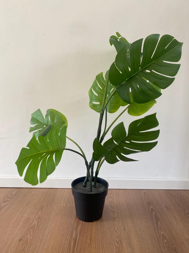 Valse plant ikea, Huis en Inrichting, Kamerplanten, Ophalen