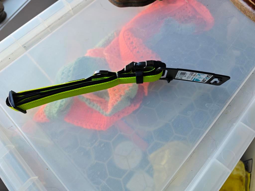 Halsband hond, Dieren en Toebehoren, Ophalen