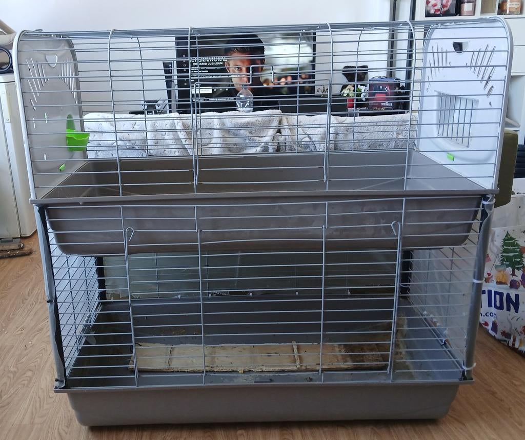 Konijnenkot, Dieren en Toebehoren, Ophalen, Rat, Kooi, Gebruikt