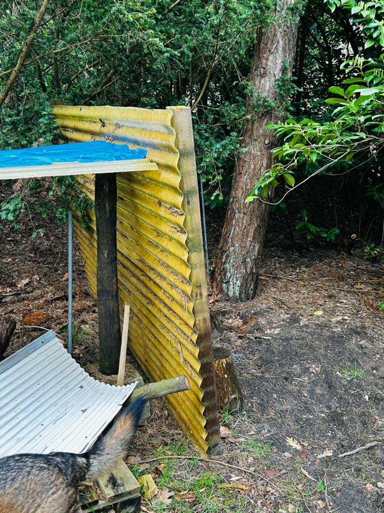 Groot golfplaten afdak, Ophalen, Gebruikt, 5 tot 10 m², Golfplaat