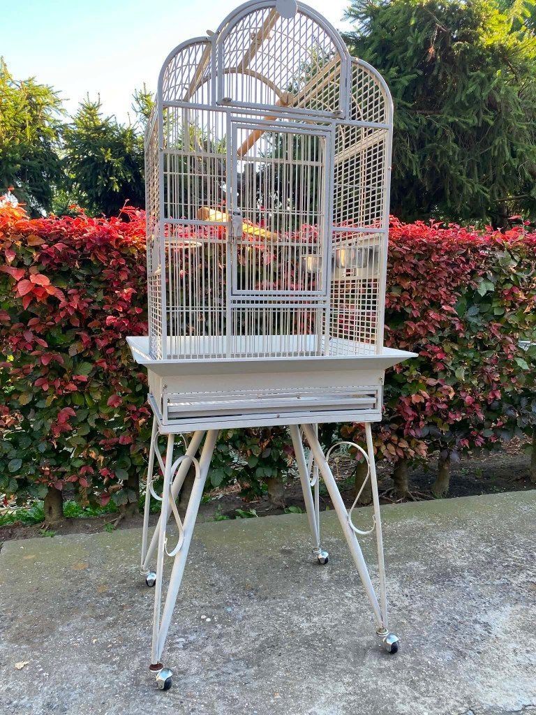 cage à perroquets sur roues, Animaux & Accessoires, Enlèvement, Utilisé
