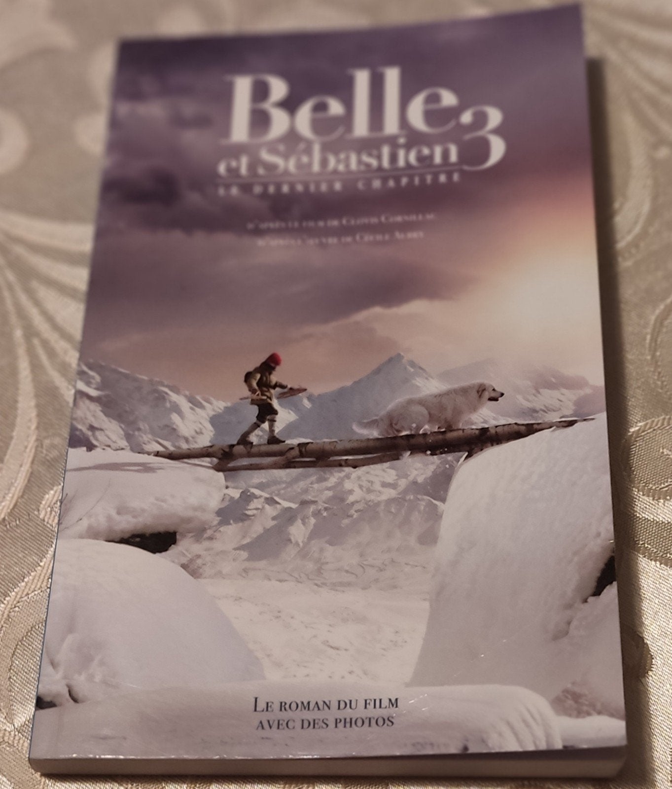 Belle et Sébastien 3, Enlèvement, Comme neuf
