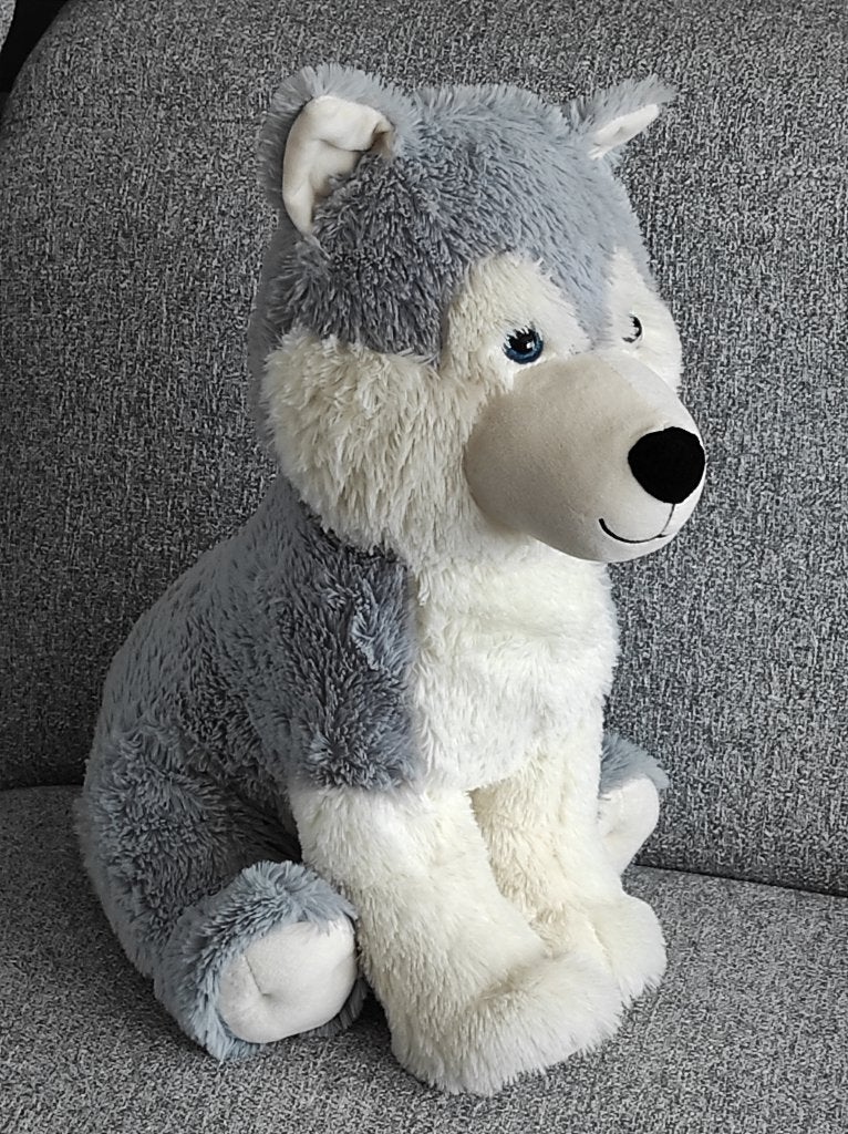 knuffel hond, Ophalen of Verzenden, Zo goed als nieuw, Hond