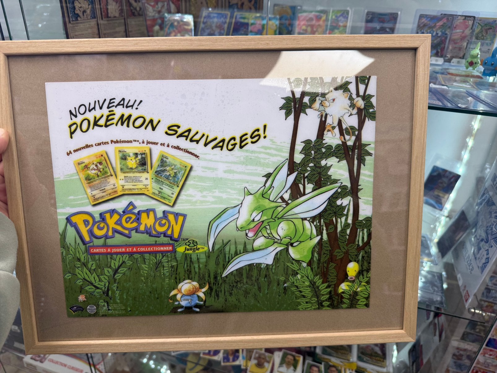 Pub rare pokemon wizard jungle, Enlèvement ou Envoi, Neuf, Carte(s) à jouer