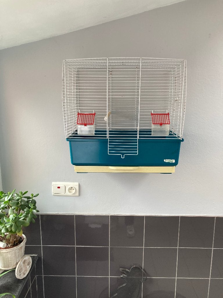 Cage oiseaux, Animaux & Accessoires, Enlèvement, Utilisé, Cage à oiseaux