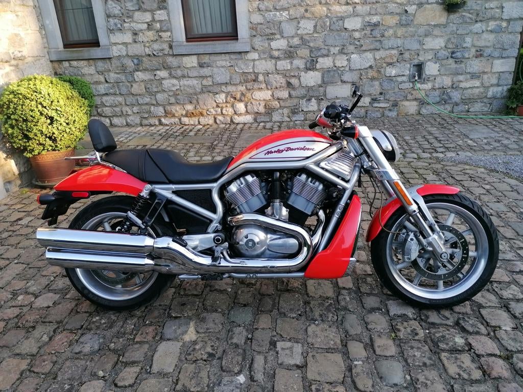 Harley Davidson Street Rod VRSCR, Motoren, Particulier