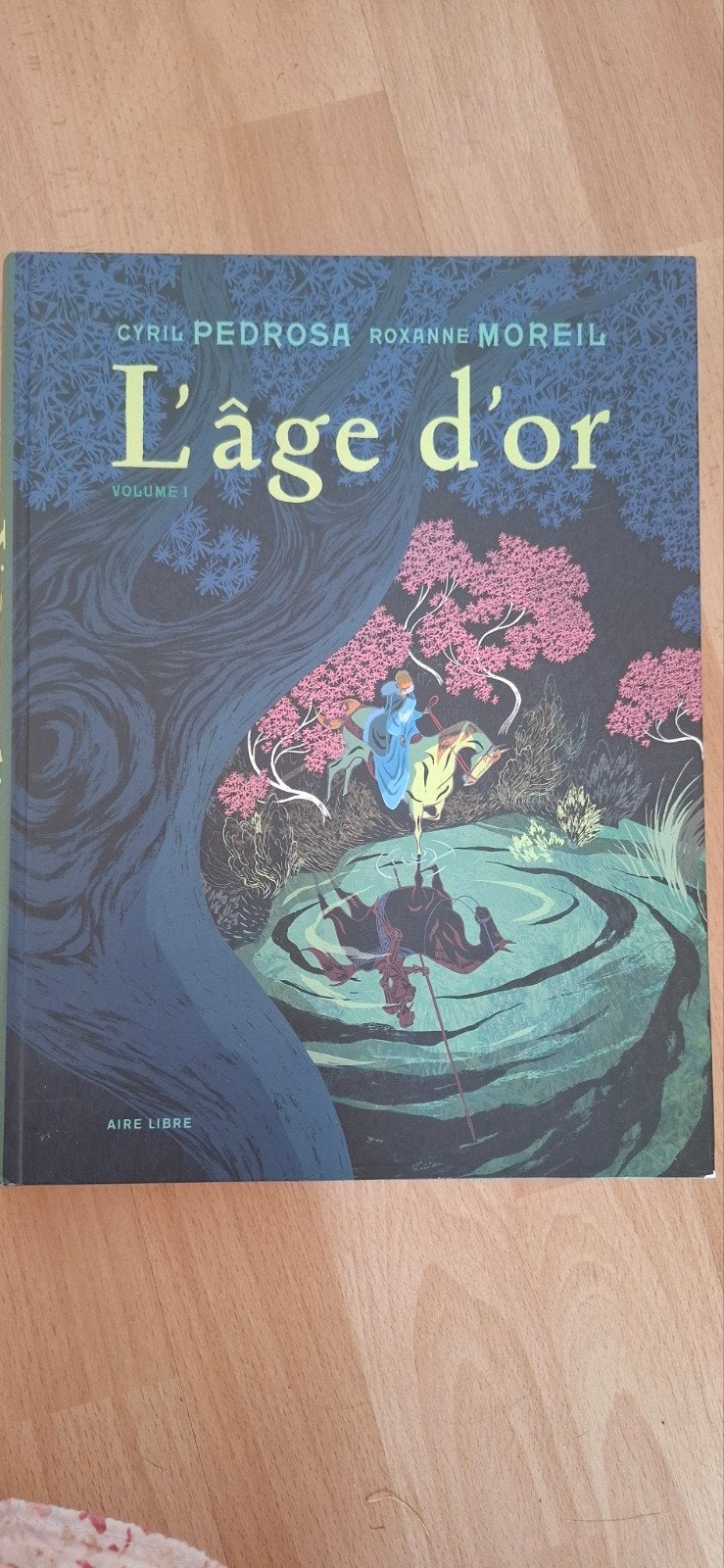 L'âge d'or tome 1 B.D Pedrosa, Enlèvement