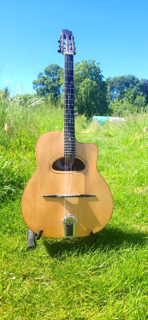 Guitare Manouche, Enlèvement, Utilisé, Autres types
