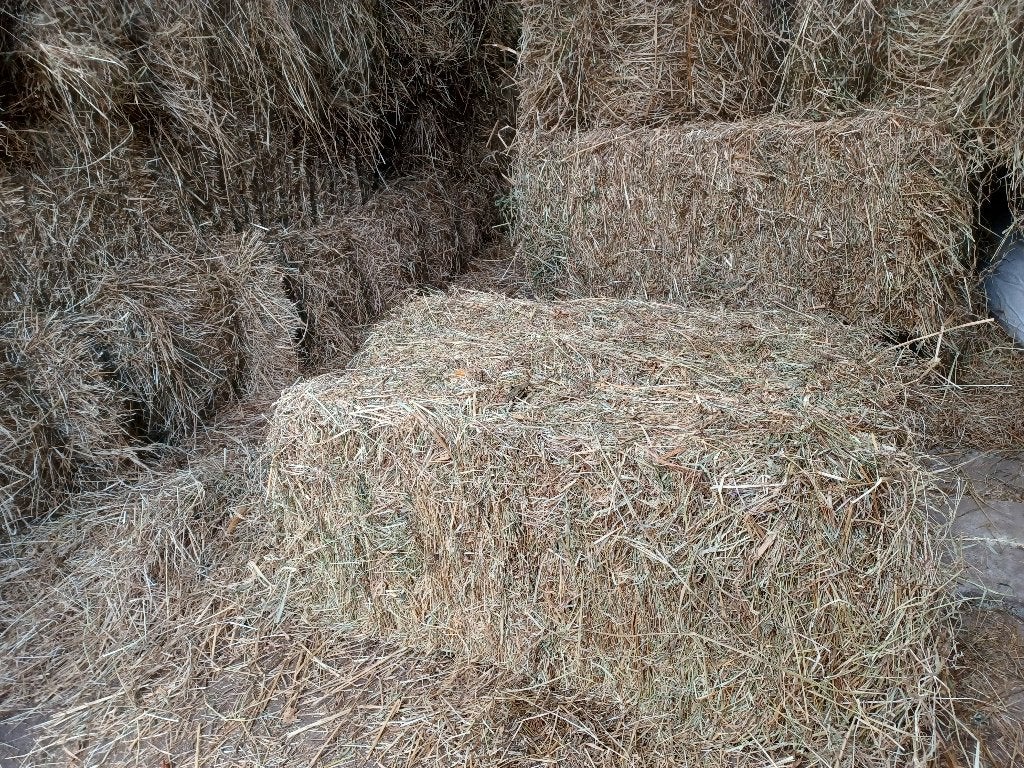 Kleine baaltjes biologisch hooi, Ophalen