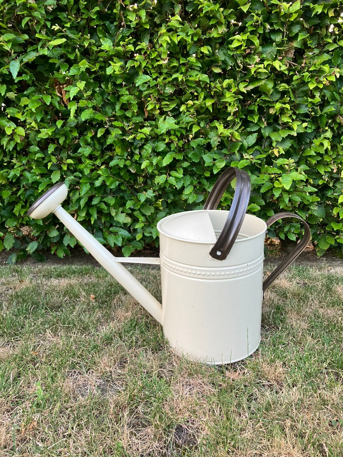 Gieter, Tuin en Terras, Gieters, Ophalen, Zo goed als nieuw
