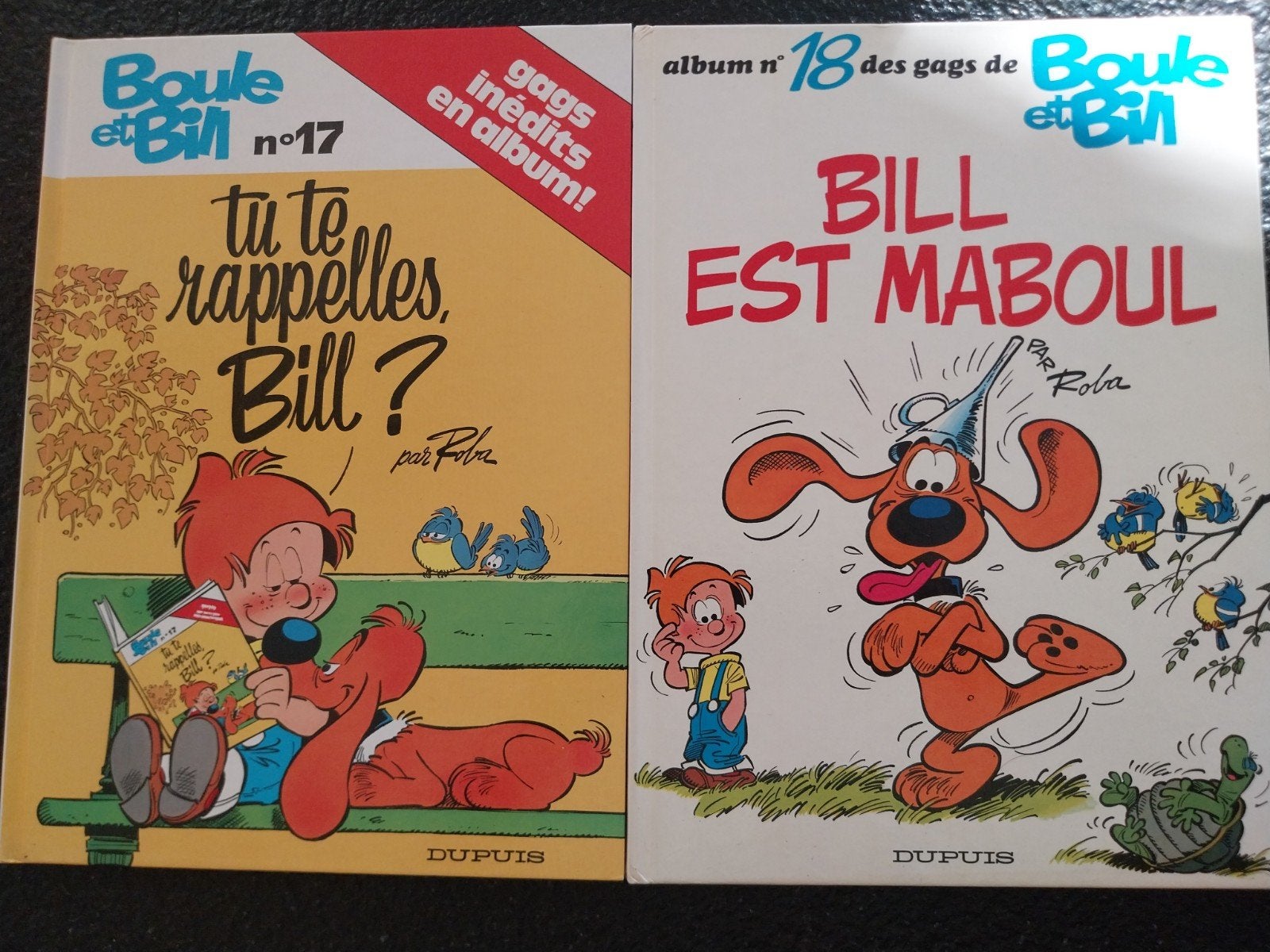 Boule et Bill, Enlèvement ou Envoi