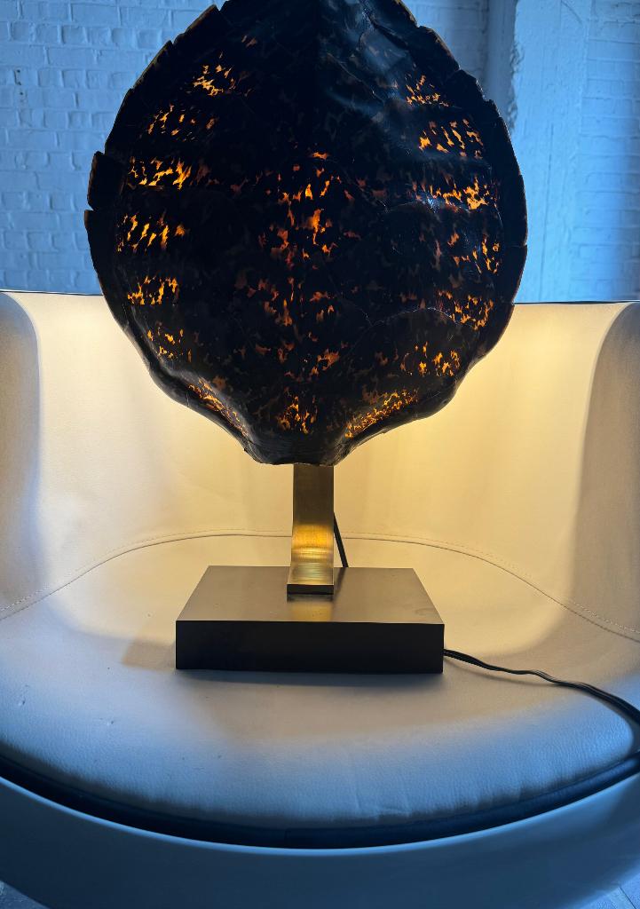 Lampe de collection — Véritable carapace de tortue marine, Enlèvement ou Envoi, Comme neuf, Genuine Sea Turtle Shell, Autres matériaux