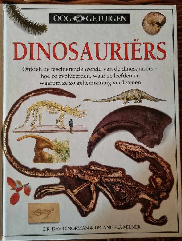 Boek:  Ooggetuigen  - Dinosauriërs, Boeken, Gelezen, Ophalen of Verzenden, Norman & Milner, Overige onderwerpen