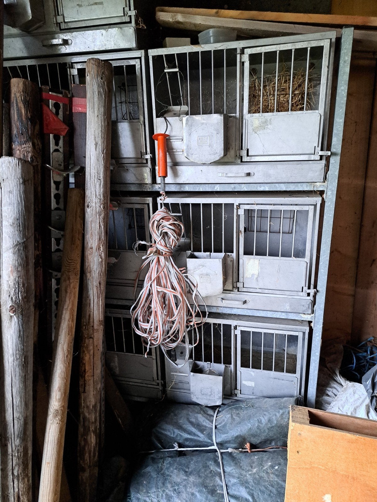 Inox konijnenhokken, Niche, Moins de 60 cm, Cobaye, Utilisé