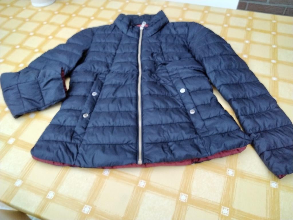 GERRY WEBER donkerblauwe sportieve, leuke jas, Ophalen of Verzenden, Nieuw, Maat 38/40 (M), Blauw