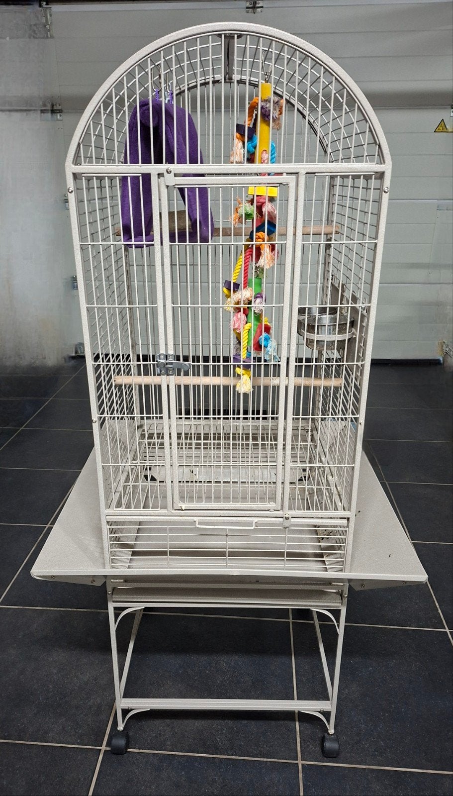 Cage oiseaux, Enlèvement
