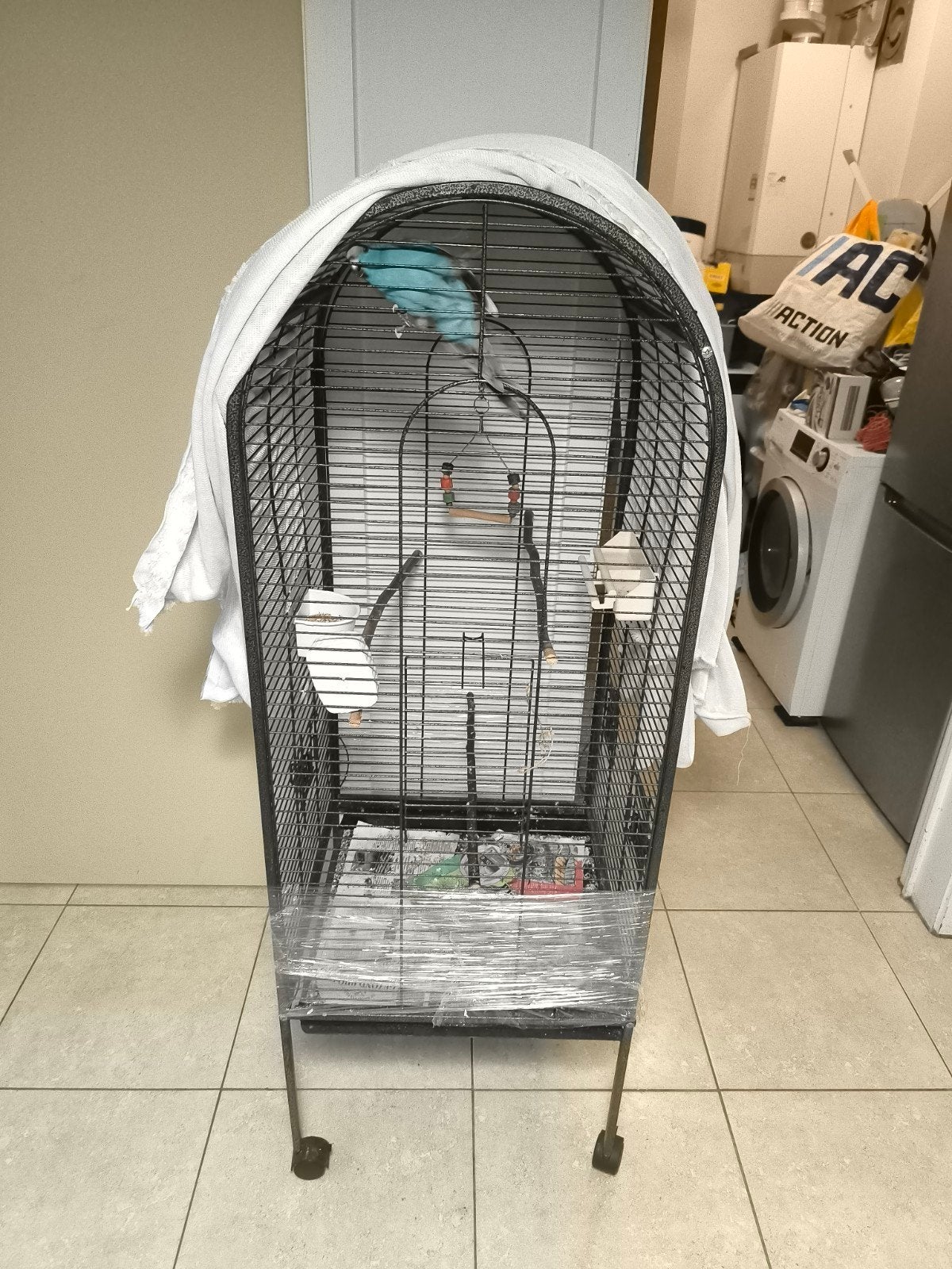 Kakariki met kooi, Animaux & Accessoires, Oiseaux | Cages & Volières, Enlèvement