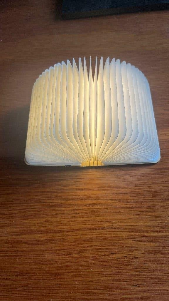 Lampe d’ambiance forme livre, Enlèvement, Bois, Éclairage LED, Neuf