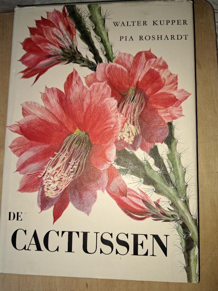 Plakboek Artis cactussen met wikkel, Boeken, Prentenboeken en Plaatjesalbums, Ophalen of Verzenden, Zo goed als nieuw, Plaatjesalbum