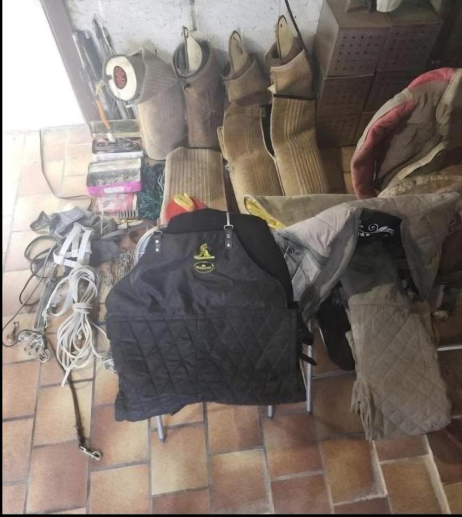 Matériel de mordant sportif, Dieren en Toebehoren, Honden-accessoires, Ophalen of Verzenden