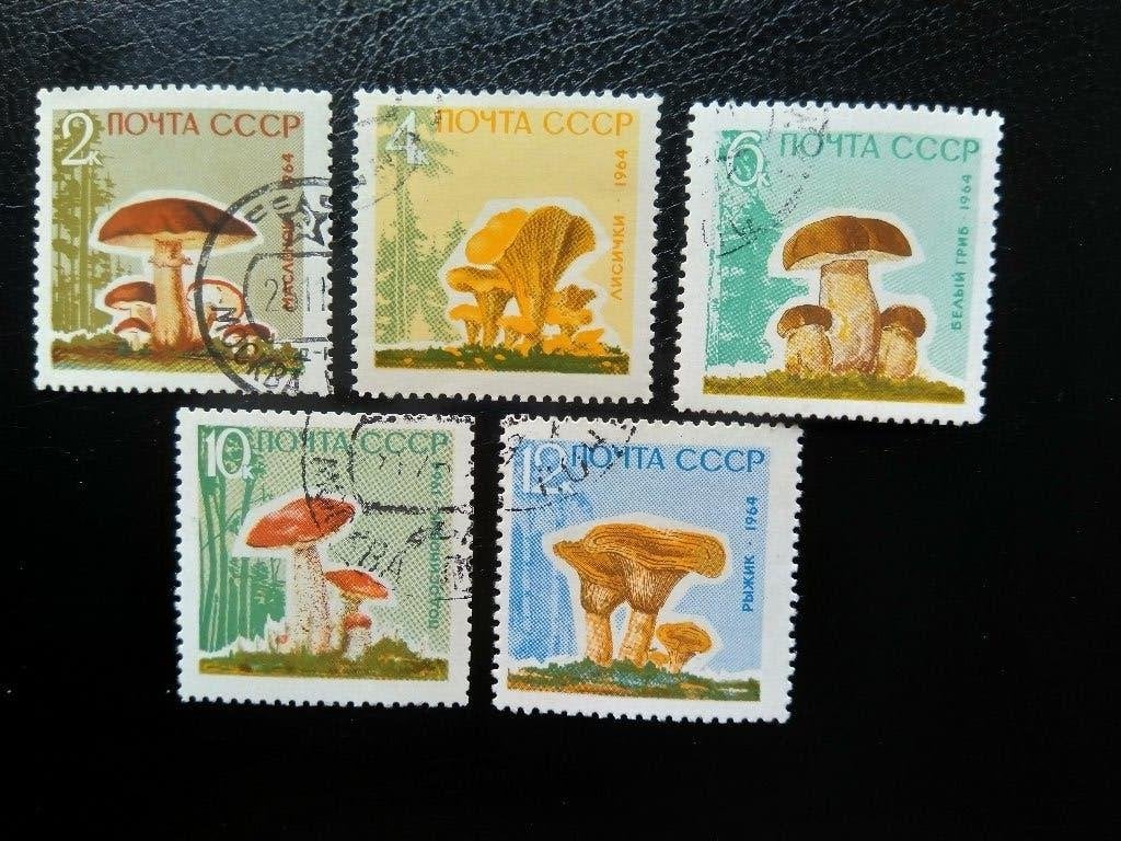 Paddenstoelen, USSR 1964, Verzenden, Gestempeld, Dier of Natuur