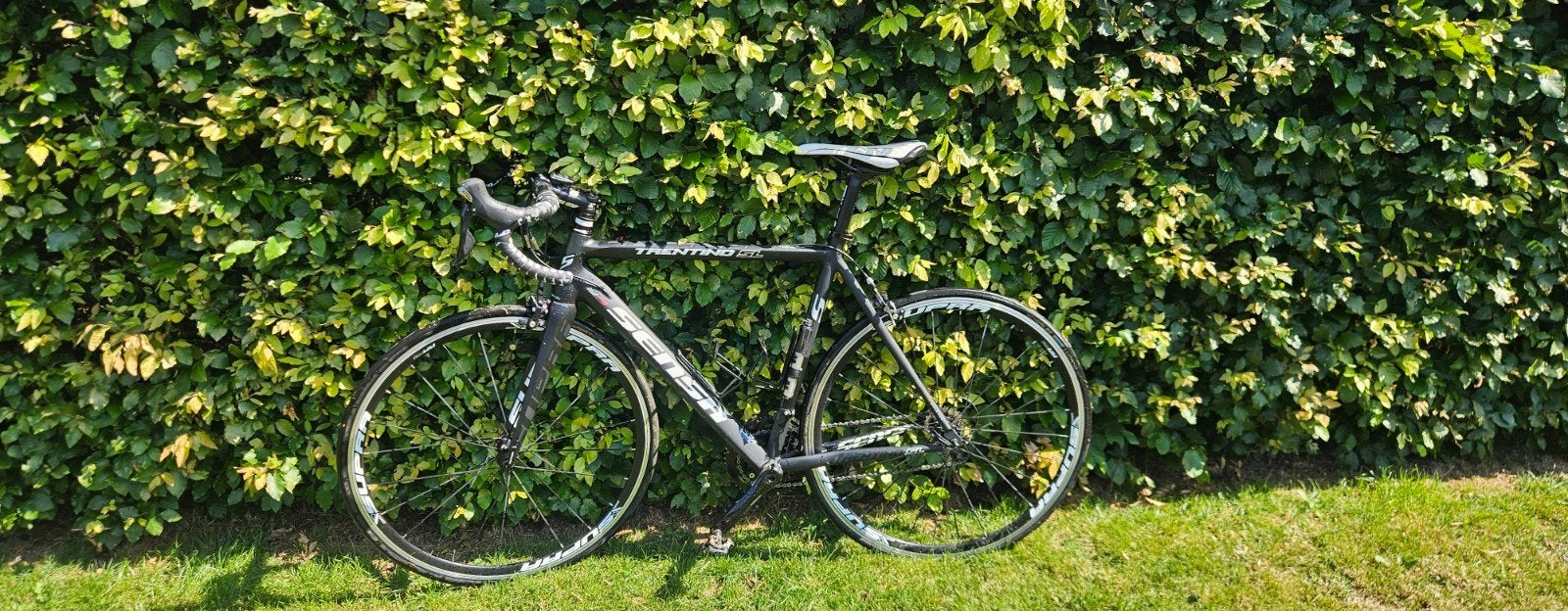 Sensa trentino SL koersfiets maat 54, Ophalen