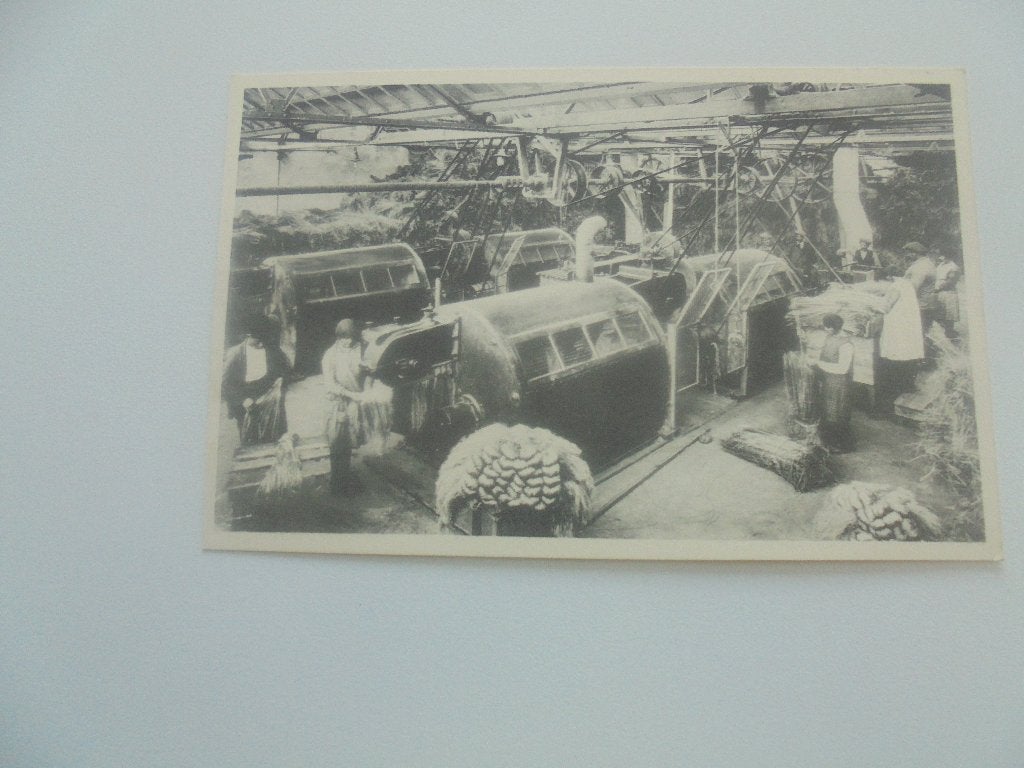 vlasteelt- zicht in de moderne vlaswezelfabriek, Verzamelen, Postkaarten | België, Verzenden, 1920 tot 1940, Ongelopen, West-Vlaanderen