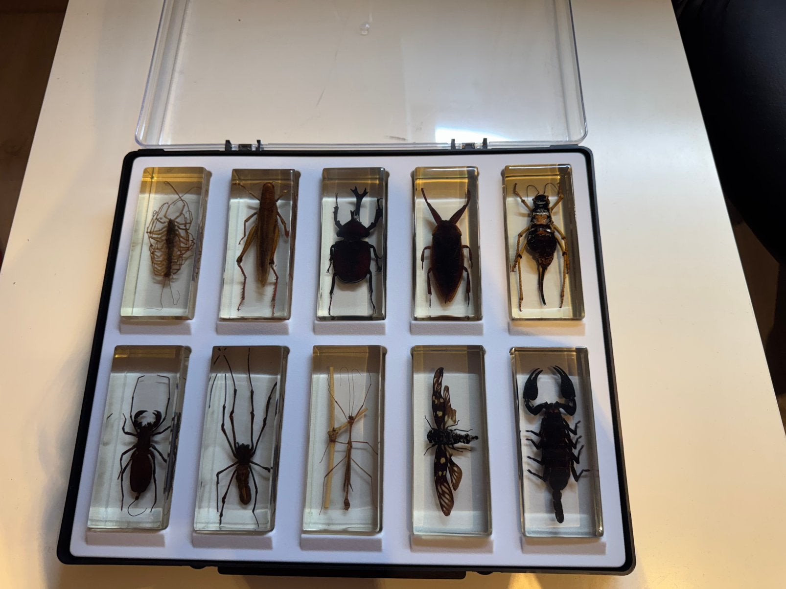 Insecten, Enlèvement, Utilisé
