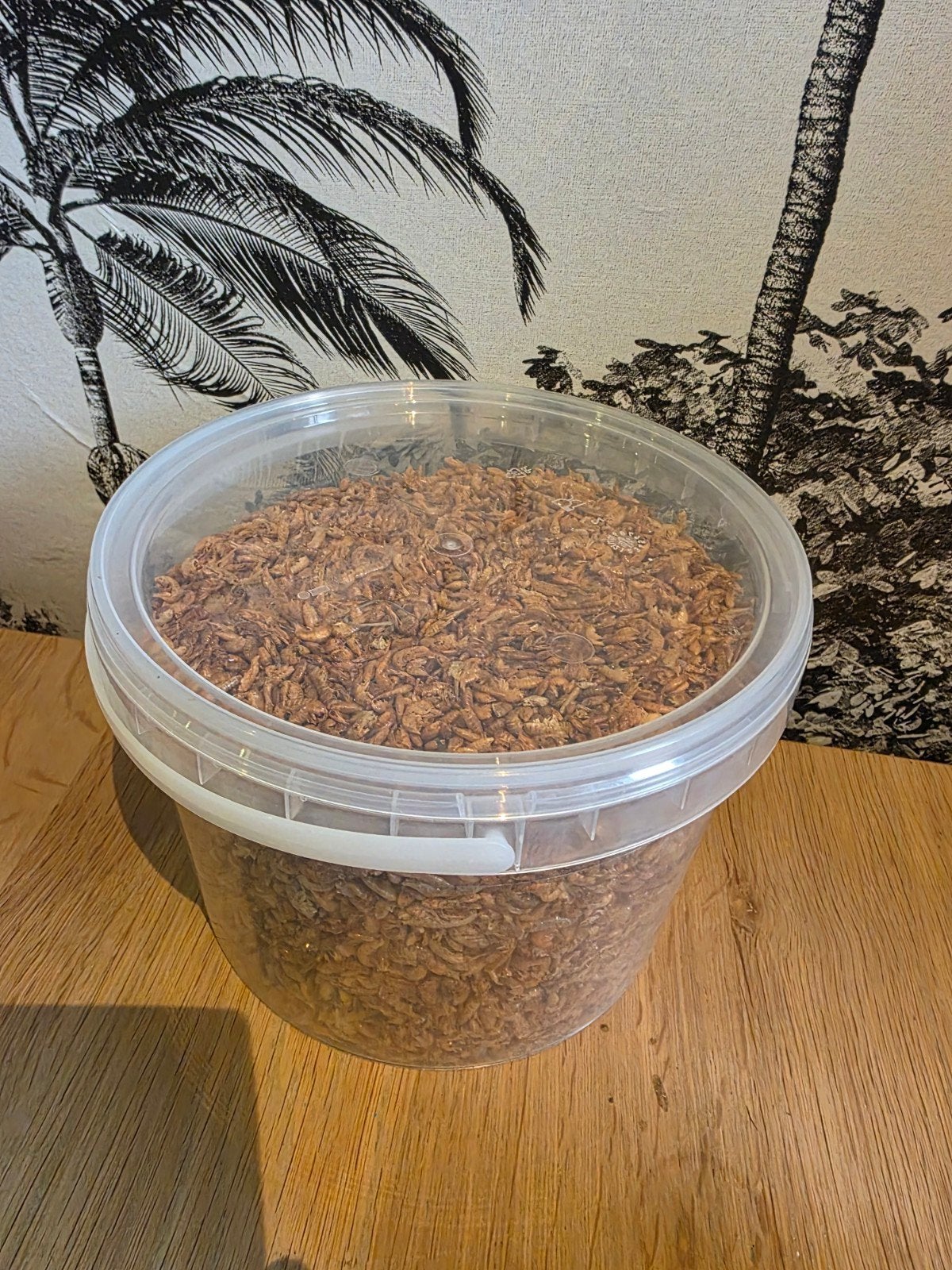 Vis snack voer gedroogde kleine zoetwater garnaaltjes, Dieren en Toebehoren, Ophalen