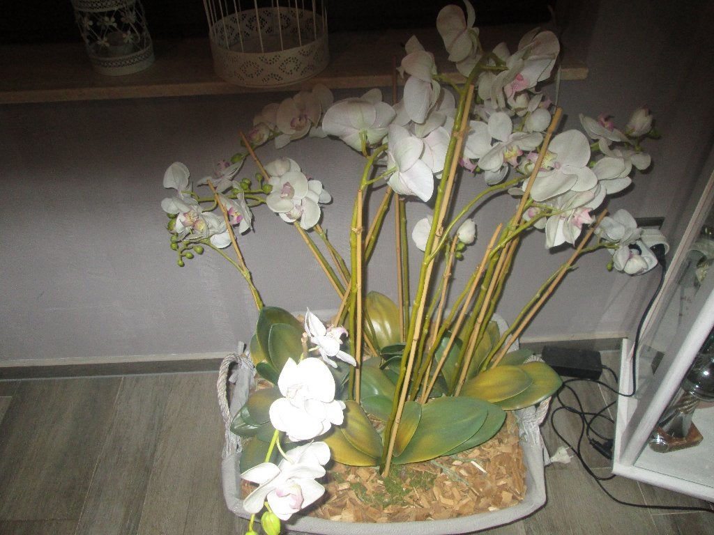 orchideeen korf imitatie, Huis en Inrichting, Woonaccessoires | Droogbloemen, Ophalen, Gebruikt