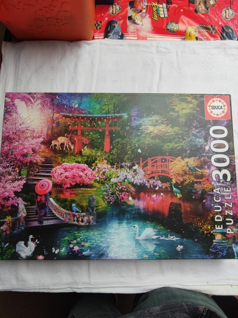 Puzzle 3000 pièces paysage, Enlèvement, Puzzle