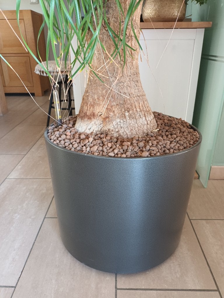 2 moderne ronde plantenpotten, handig op wieltjes, Ophalen, Overige materialen, Gebruikt, Minder dan 60 cm