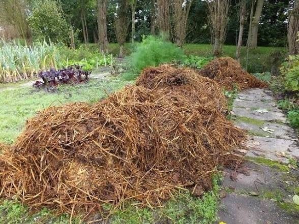 Gezocht: gratis (paarden)mest, Ophalen of Verzenden, Mest