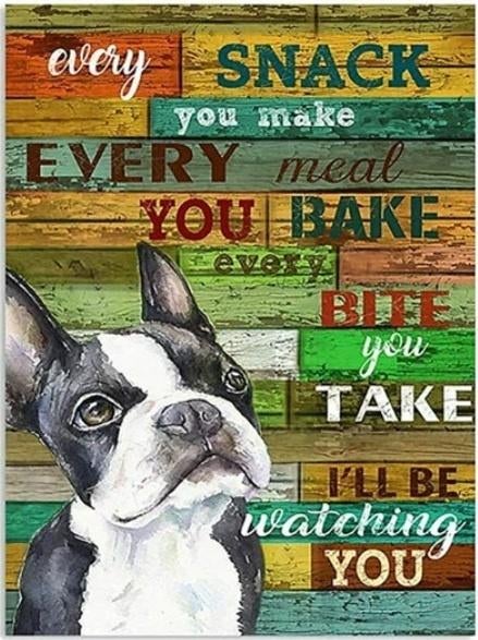 nr 2044 Diamond Painting boston terrier 50x40cm (rond), Verzenden, Nieuw, Meerkleurig, Overige materialen