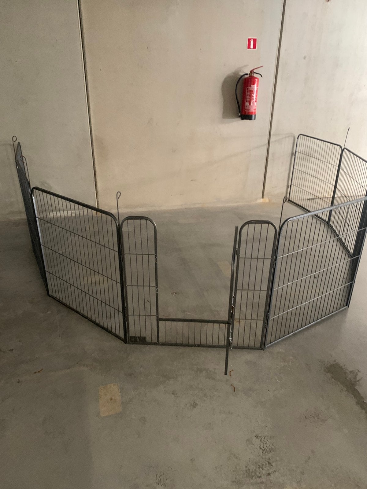 Honden ren 8 stuks van 80 sm, Enlèvement, Neuf