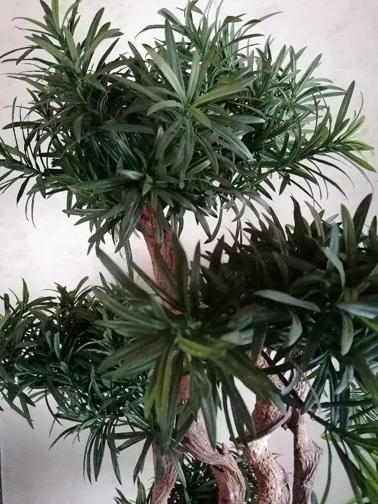 Bonsai kunststof plant 1m80 hoog, Jardin & Terrasse, Enlèvement, En pot
