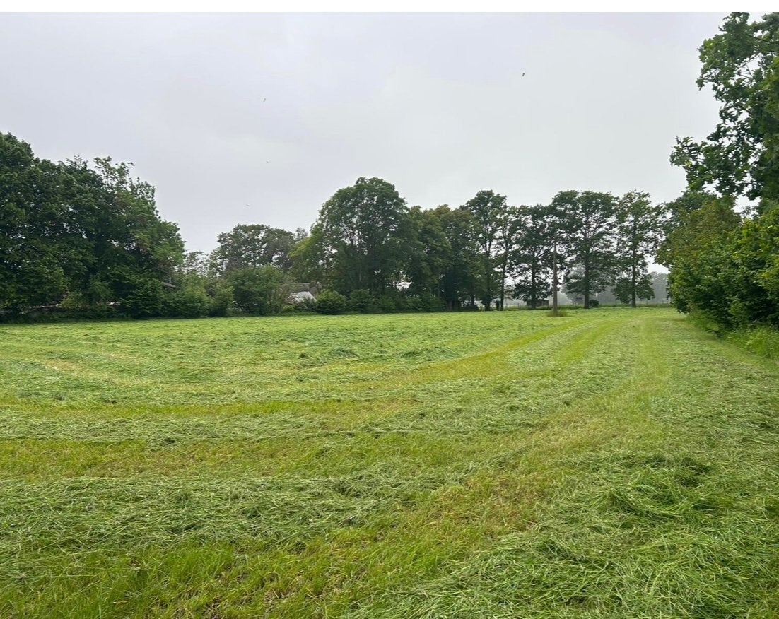 Weide te huur regio Westerlo, Dieren en Toebehoren, Stalling en Weidegang