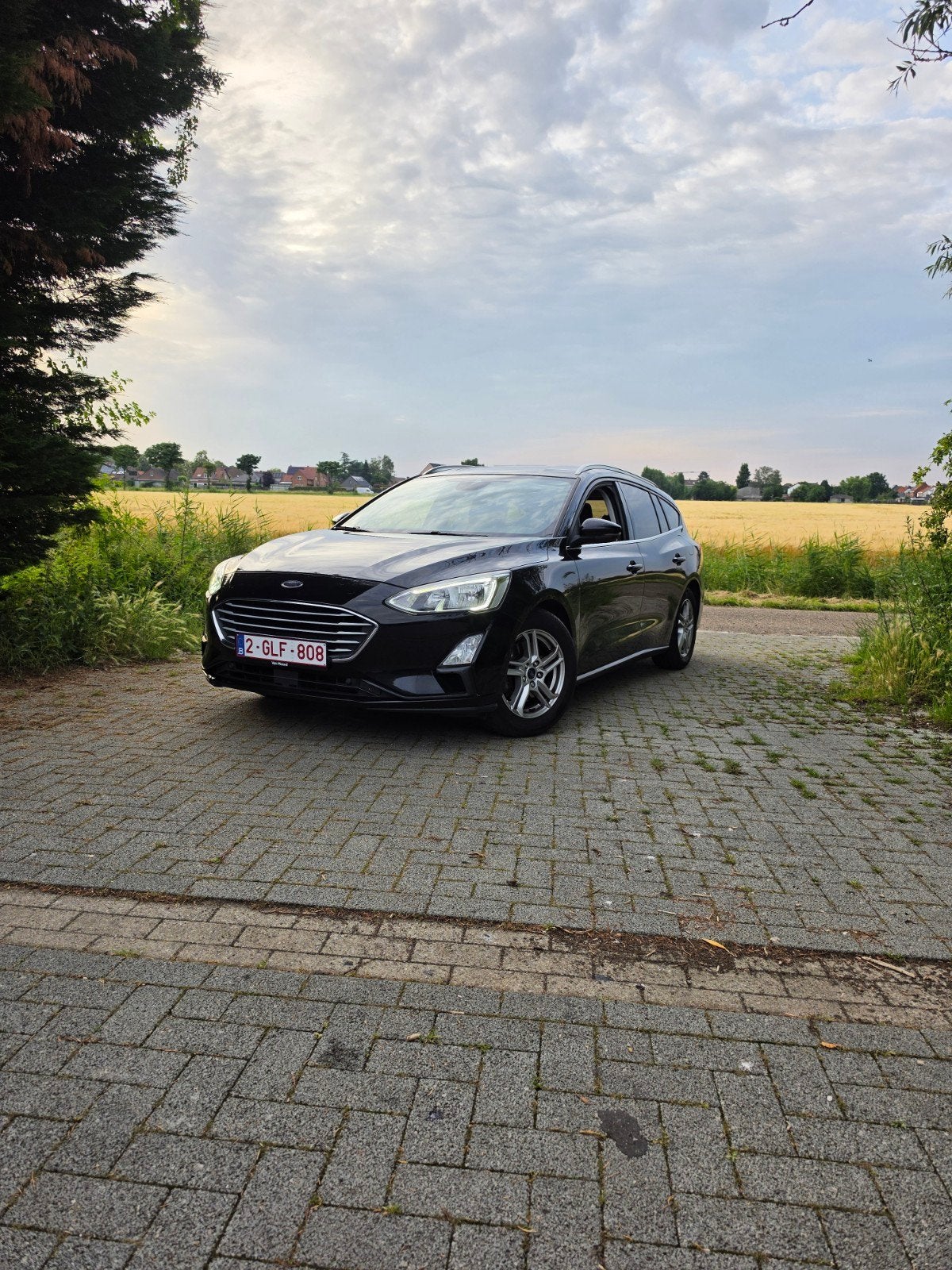 Ford Focus Clipper, Focus, Achat, Euro 6, Boîte manuelle