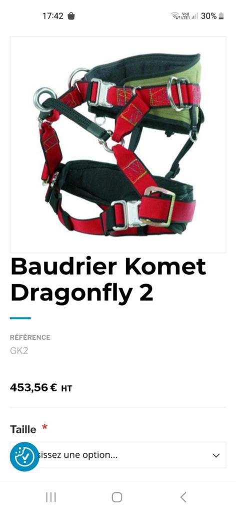 Baudrier élagueur