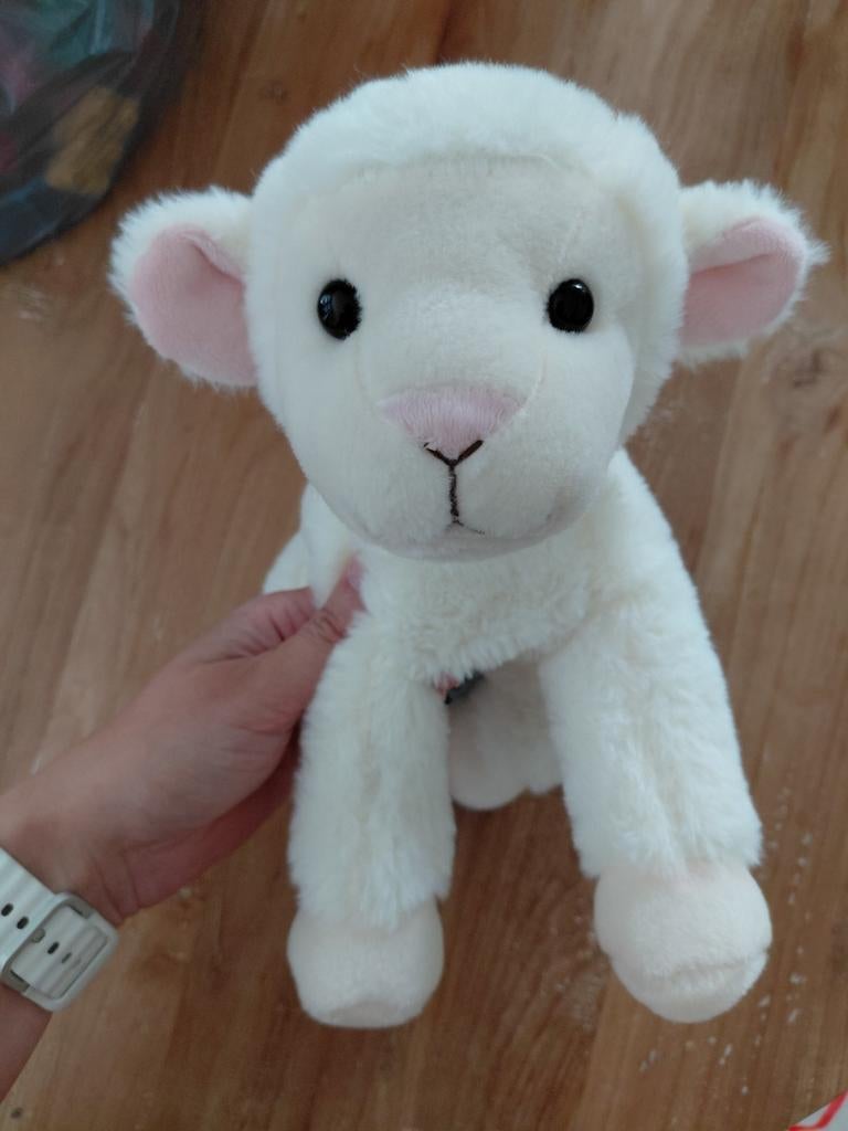 Knuffel schaap, Ophalen of Verzenden