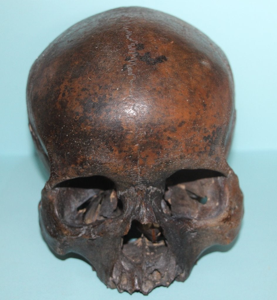 Homo sapiens, Ophalen of Verzenden, Gebruikt