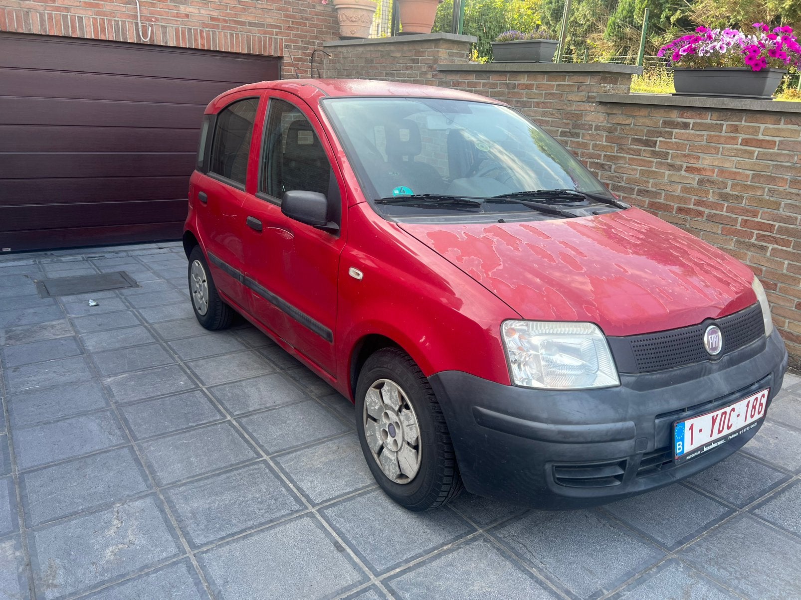 Fiat panda, Rouge, Achat, Boîte manuelle, Noir