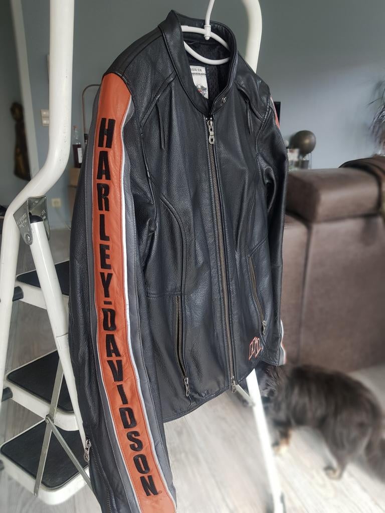 Mooie ledere dames motovest  Harley Davidson, Enlèvement, Femmes