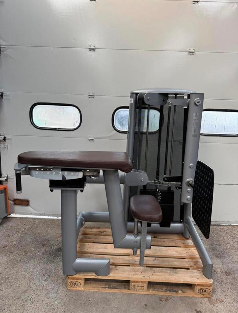 Gym 80 Glute kickback / Gluteaus / Machine / Sygnum Series, Enlèvement, Utilisé, Bras, Autres types