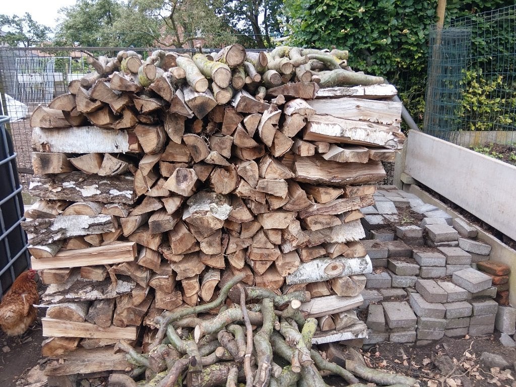 BRANDHOUT BERK TE KOOP, 3 à 6 m³, Enlèvement, Bouleau, Bûches