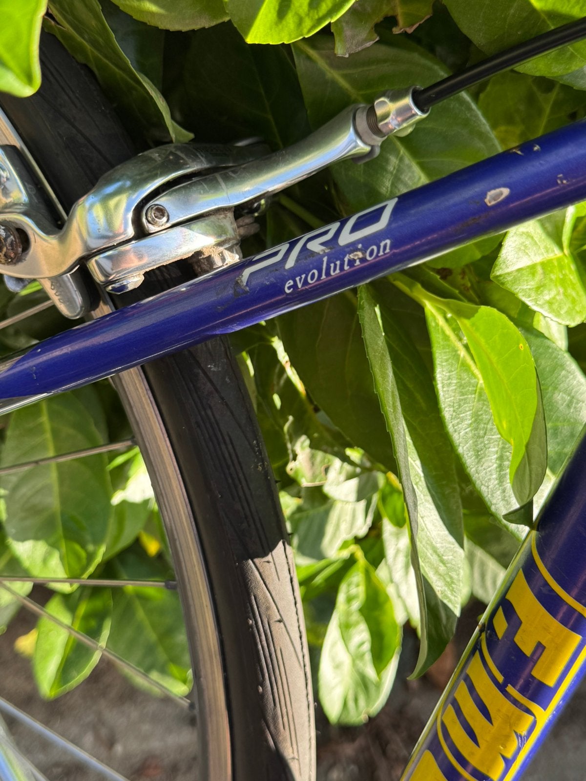 Moser vintage racefiets, 28 inch, Gebruikt, Staal, 15 tot 20 versnellingen