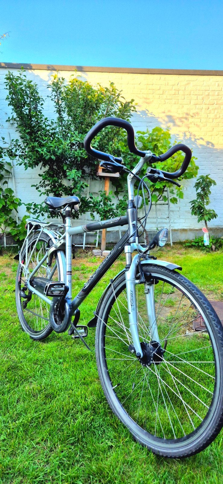 Vélo Oxford 28 pouces pour homme, Enlèvement, Vitesses