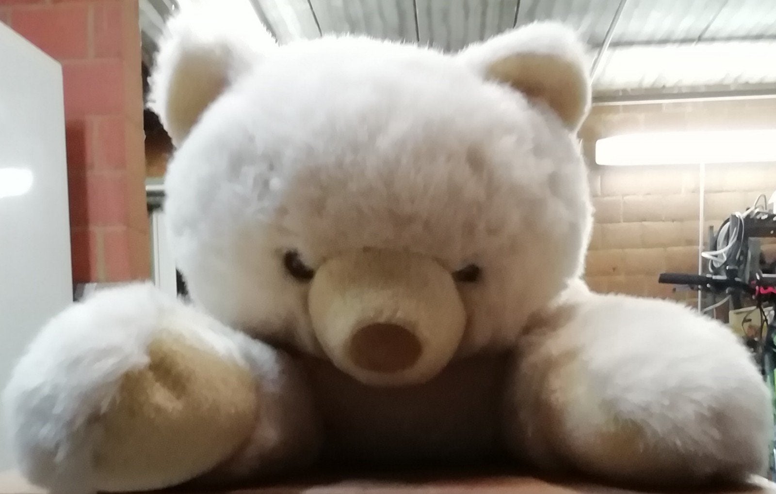 Superbe peluche ours polaire de 1M, très bon état et lavé!, Enlèvement