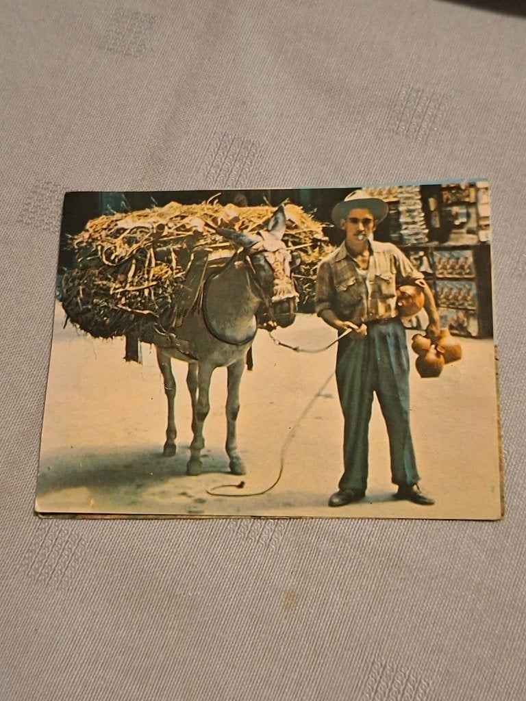 Prentje/Chromo : De Polders / Kuifje's bons, Enlèvement ou Envoi, Gravure, Costume traditionnel, Utilisé