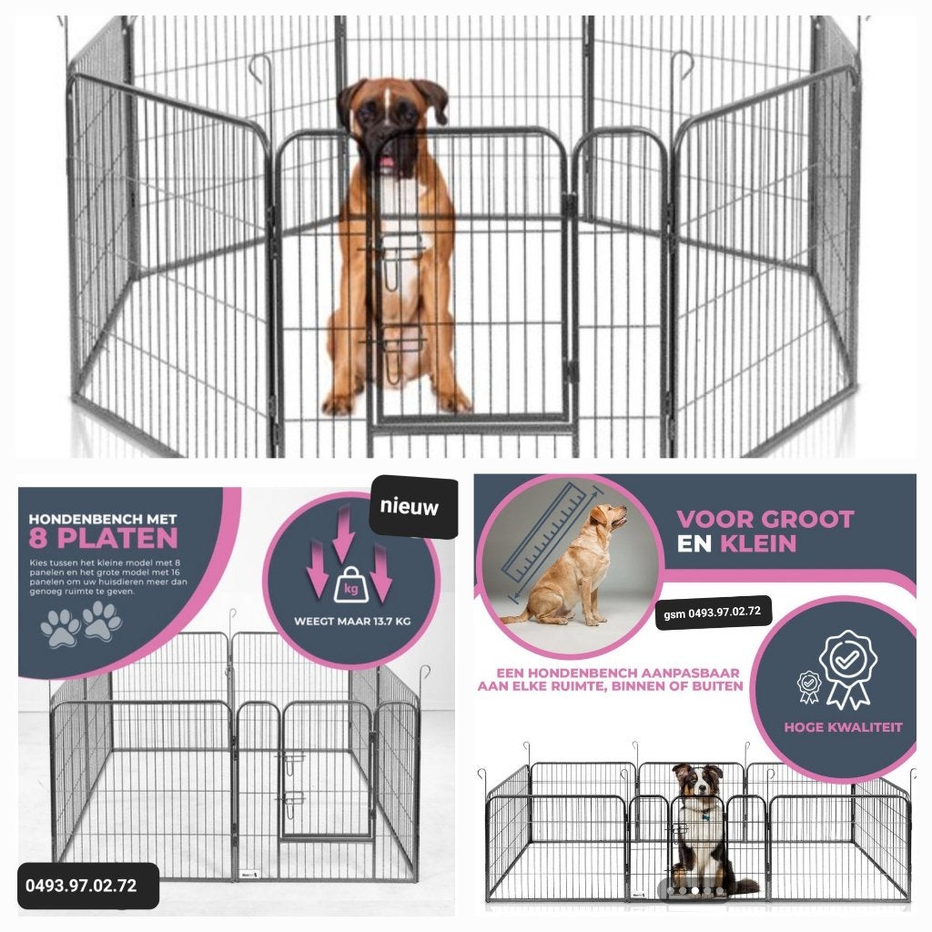 hondenren-puppyren NIEUW IN DE DOOS, Ophalen, Nieuw